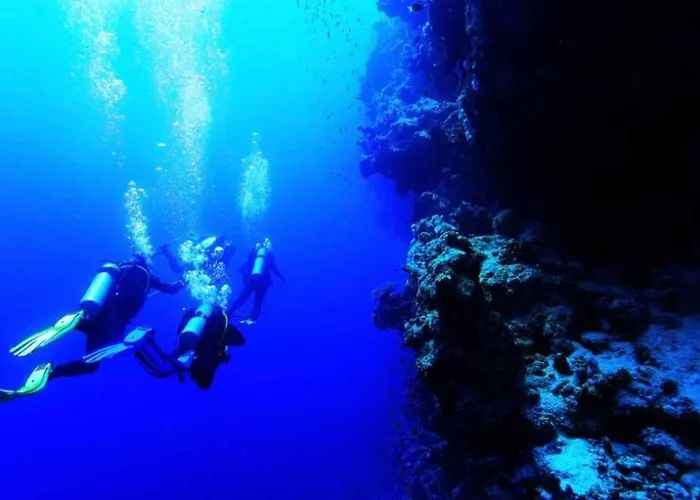 La Casita De Javea * Dénia